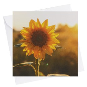Sujetkarte Sonnenblume